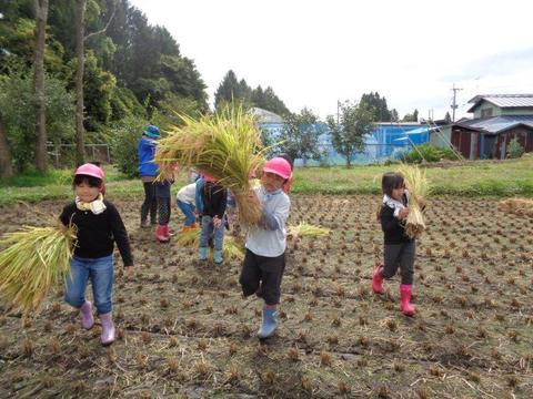 相去保育園２